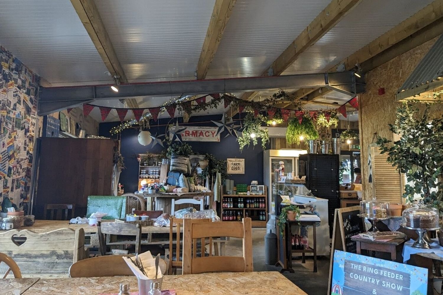 The Ring Feeder Cafe Modbury Devon